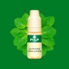 10ML - Pulp Hollywood Menthe (Chlorophylle) - BE